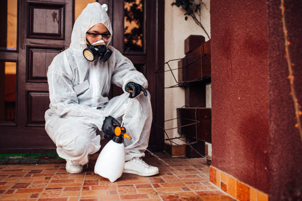 Reliable Wasp Removal contractor in Berlin, NJ by Show Me Pest Control